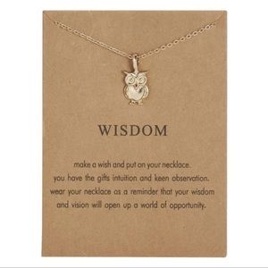 NEW Owl Wisdom Necklace